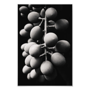 grapes for a sour day photo print