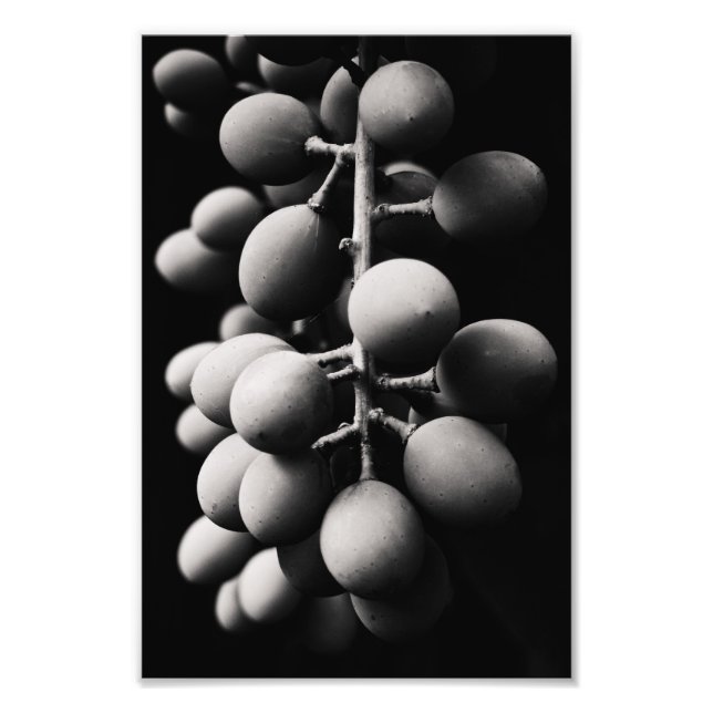 grapes for a sour day photo print (Front)