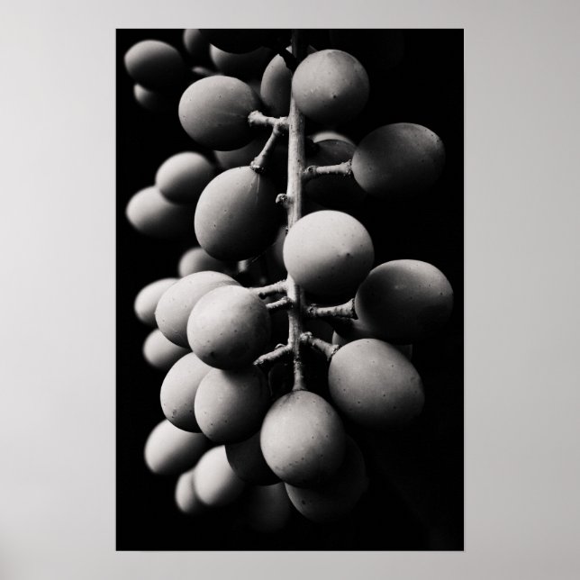 grapes for a sour day poster (Front)