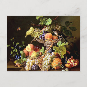 Grapes Fruit Bird Still Life painting Postcard