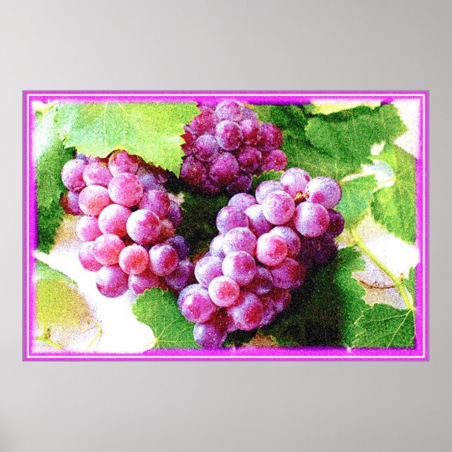 "Grapes Fruit Plant" Cute Photo. Buy Now Poster (Front)