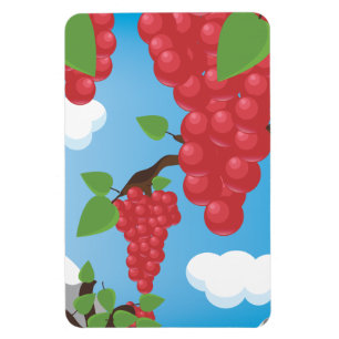 grapes magnet