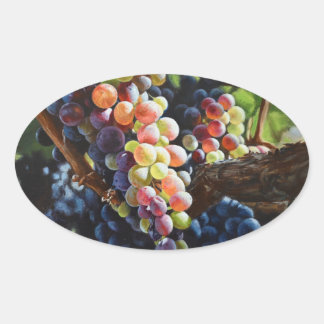 Grapes of Abundance for Wine Lovers & Wineries Oval Sticker