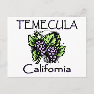 Grapes of Temecula Postcard