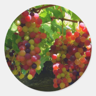 Grapes On A Vine Sticker