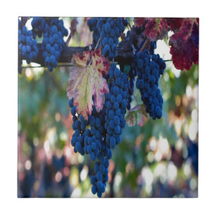 Grapes on a Vine Tile