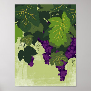 Grapes on the Vine Poster