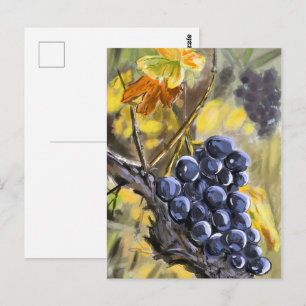 Grapes on the vine stump, Provence. Postcard