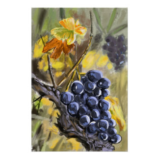 Grapes on the vine stump, Provence. Poster