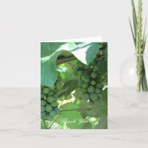 Grapes on the Vines Thank You Card