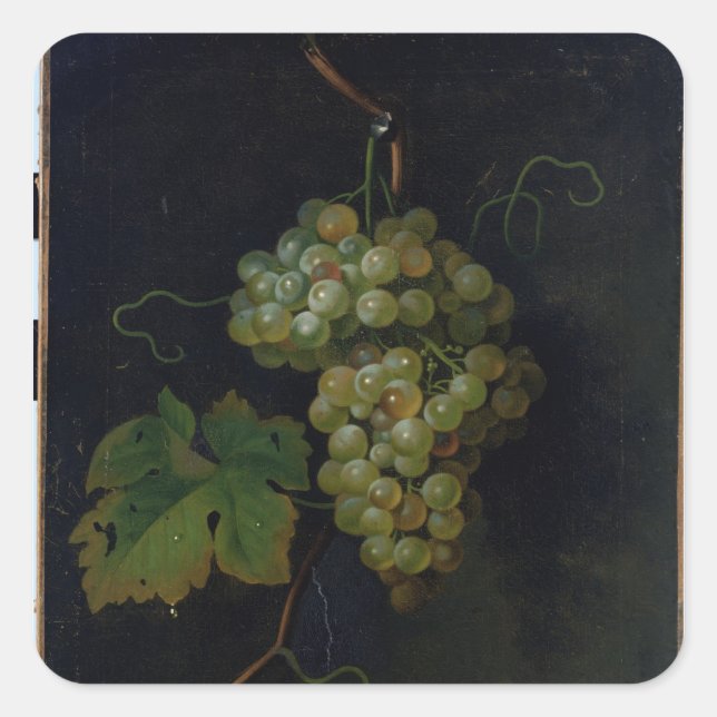 Grapes Square Sticker (Front)