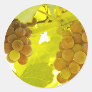 Grapes Vine Fine Art Classic Round Sticker