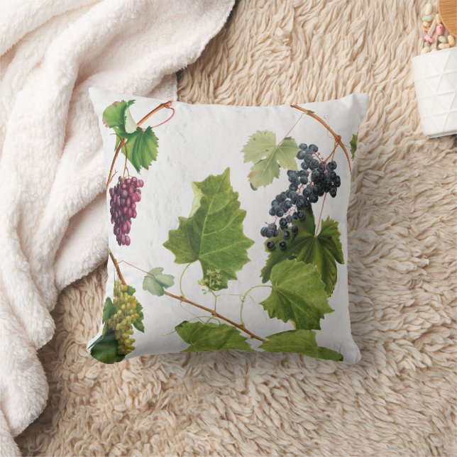 Grapes Vineyard Mediterranean Greek Island   Cushion (Blanket)