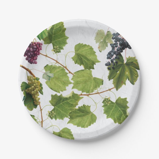 Grapes Vineyard Mediterranean Greek Island Paper Plate (Front)
