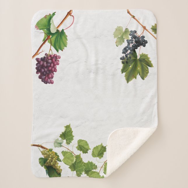 Grapes Vineyard Mediterranean Greek Island  Sherpa Blanket (Front)