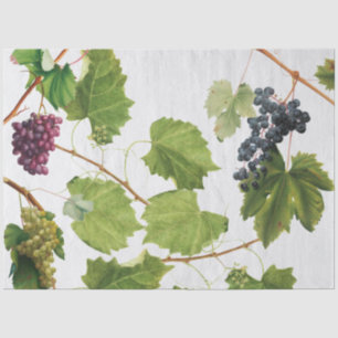 Grapes Vineyard Mediterranean Greek Island  Tissue Paper