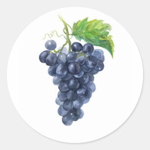 Grapes. Watercolor. Classic Round Sticker