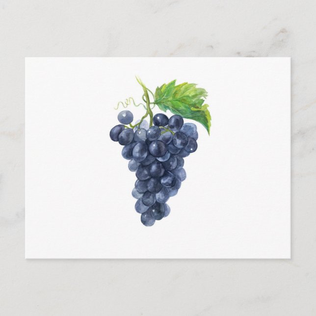Grapes. Watercolor. Postcard (Front)