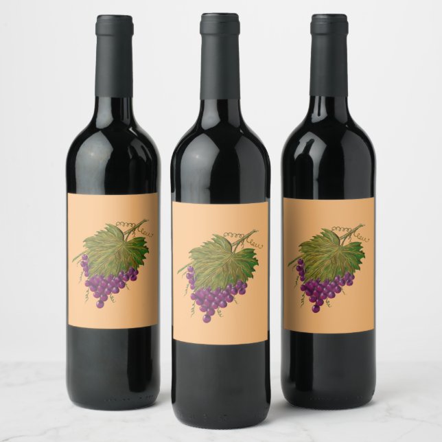 Grapes Wine Label (Bottles)