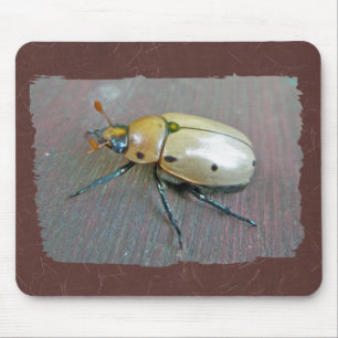 Grapevine Beetle (Pelidnota punctata) Series Mouse Mat