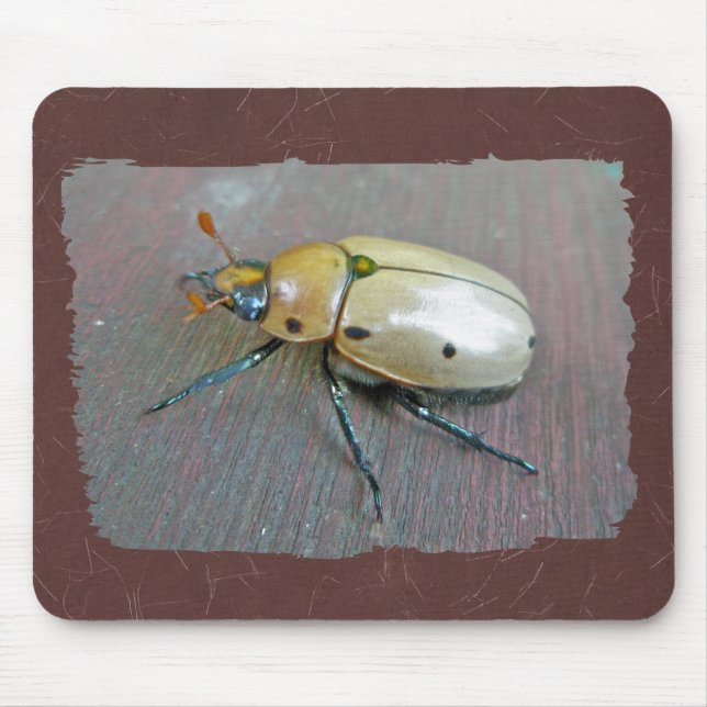 Grapevine Beetle (Pelidnota punctata) Series Mouse Mat (Front)