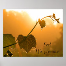 Grapevine & Dewdrops at Sunrise-Inspirational