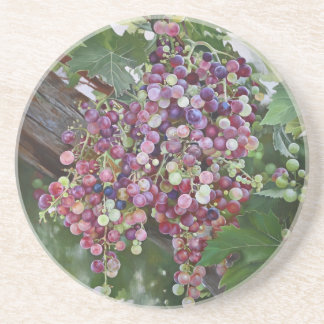 Grapevine Glory — Hyperrealistic Vineyard Art for Coaster