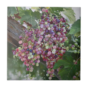 Grapevine Glory — Hyperrealistic Vineyard Art for  Tile
