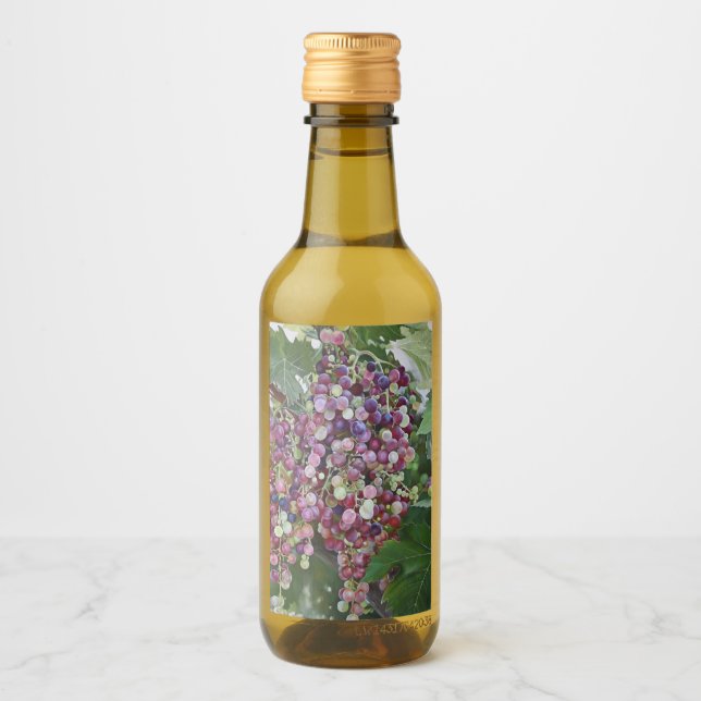 Grapevine Glory — Hyperrealistic Vineyard Art for  Wine Label (Front)