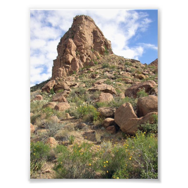 Grapevine Hills rock tower, Texas Photo Print (Front)