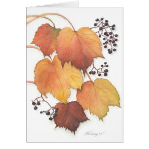 Grapevine in Autumn