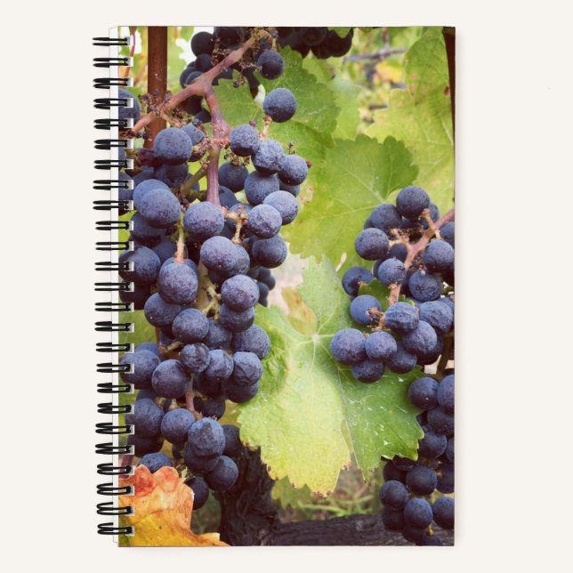 Grapevine Notebook (Hard Cover) (Front)
