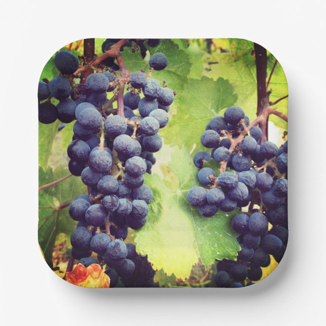 Grapevine Paper Plate (Front)