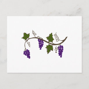 GRAPEVINE POSTCARD