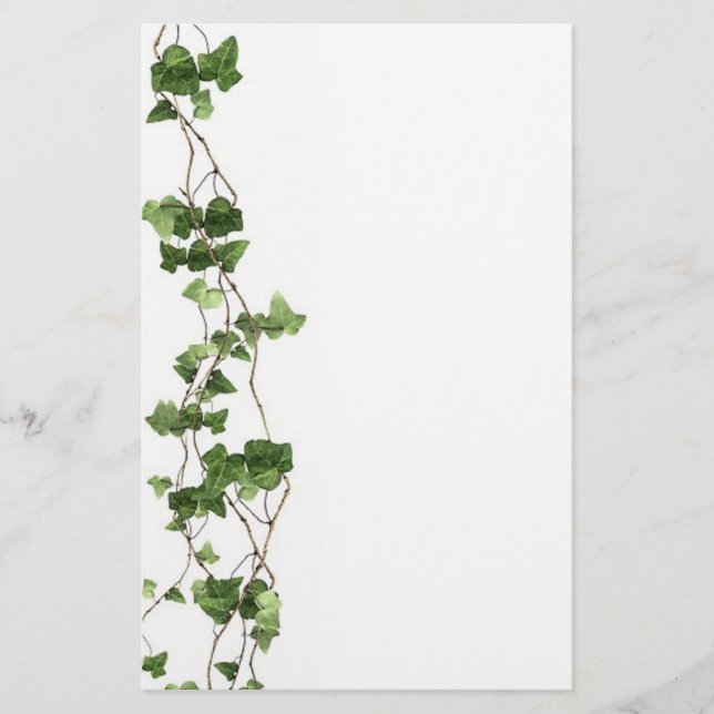 Grapevine Stationery (Front)