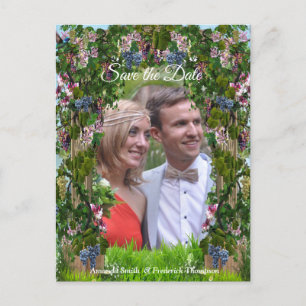 Grapevines, Honeysuckles & Hummingbirds Announcement Postcard