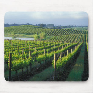 Grapevines in neat rows in California's Napa Mouse Mat