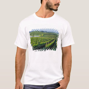 Grapevines in neat rows in California's Napa T-Shirt