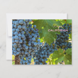 Grapevines postcard