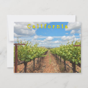 Grapevines postcard