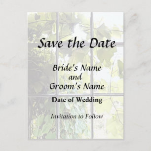 Grapevines Seen Through Window Announcement Postcard