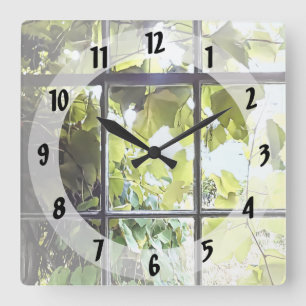 Grapevines Seen Through Window Square Wall Clock