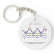 Graph of Gymnastics Pommel Horse Swings Keychain