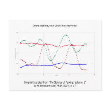 Graph of Sword Motions (Fencing)
