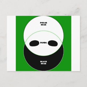 Graphic Bears Postcard