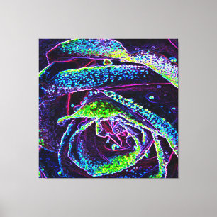 Graphic Black White Blue and Green Rose Detail Canvas Print