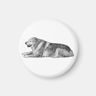 Graphic Bond, Spot Style Magnet