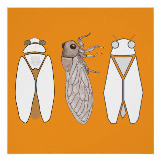 Graphic cicada and cicadetta. poster