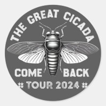Graphic Cicada Comeback Tour 2024 Design