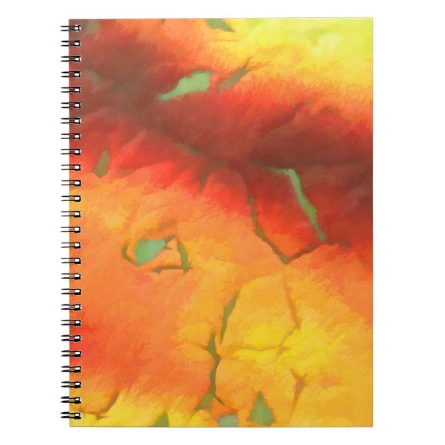 graphic design digital background texture colourfu notebook (Front)